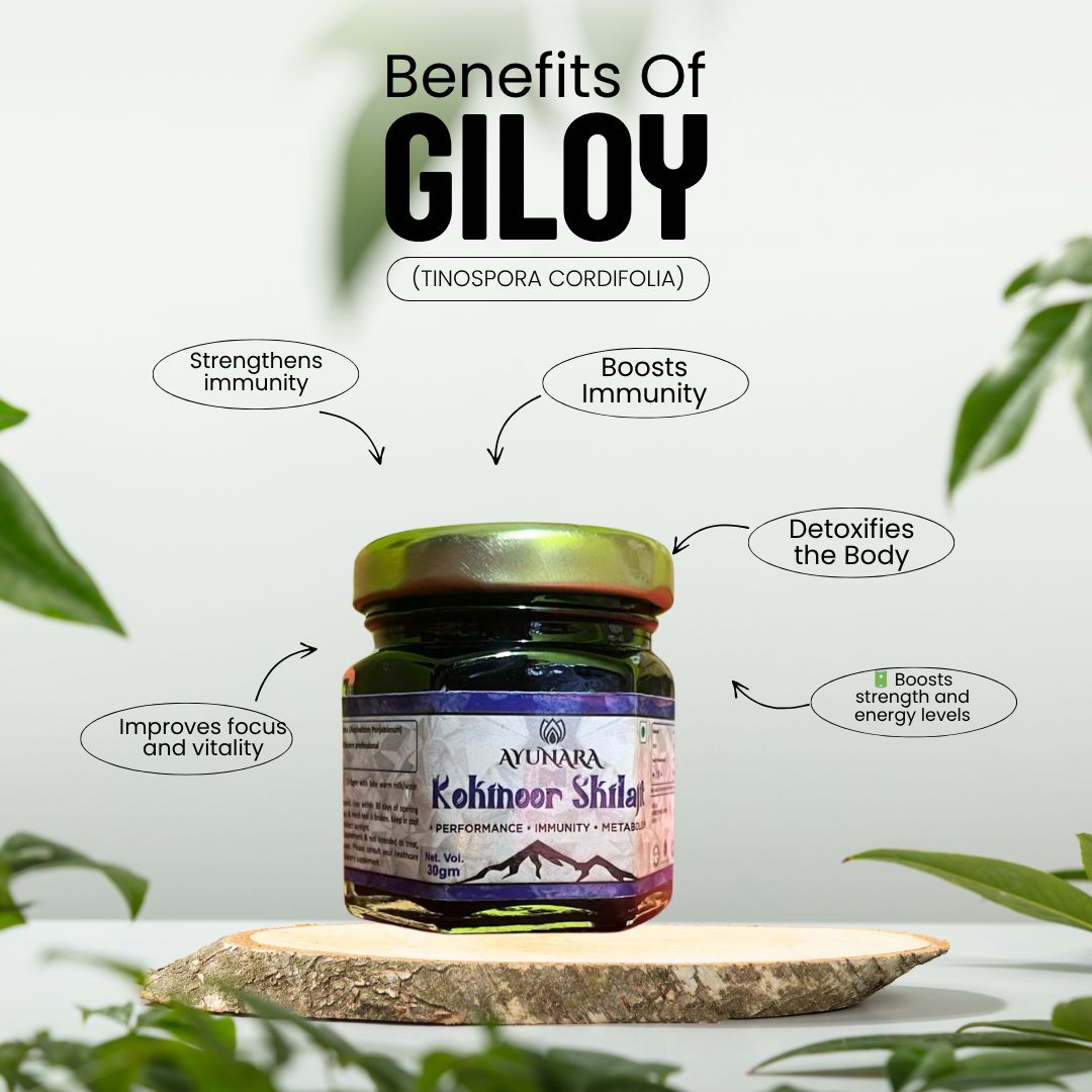 How Fulvic Acid Boosts Your Body Naturally