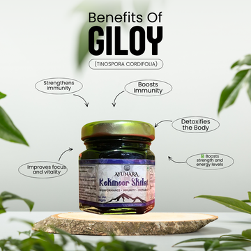 How Fulvic Acid Boosts Your Body Naturally